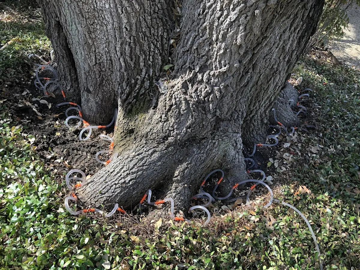 Detailed Shrub and Hedge Trimming job site in Oak Creek