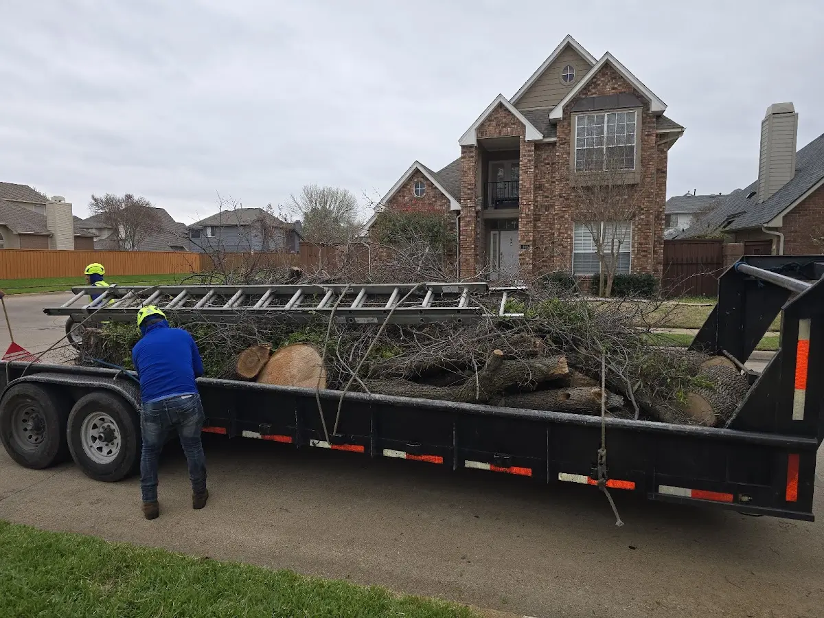 Expert Tree Pest Control with proper safety equipment in Oak Creek
